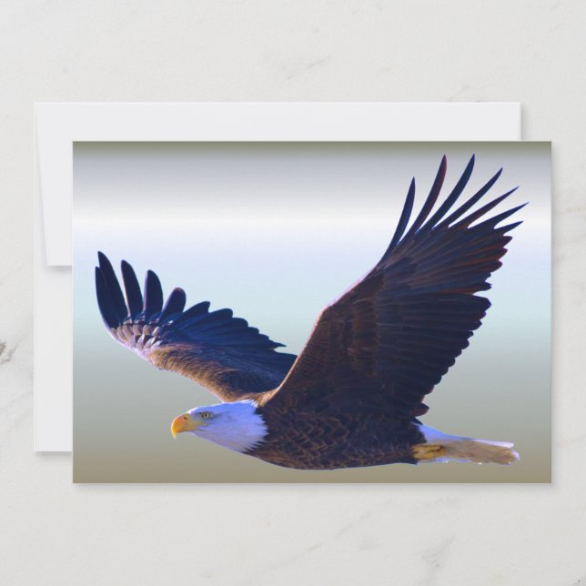 El águila calva volando (Anverso)