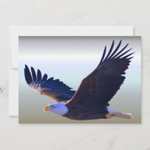 El águila calva volando