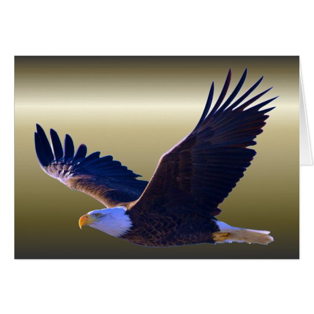 El águila calva volando (Anverso (Horizontal))