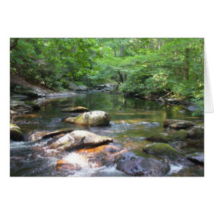 El agujero de natación 032