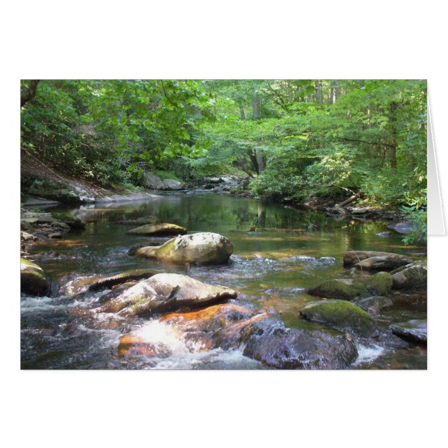 El Agujero De Natación 032 (Anverso (Horizontal))