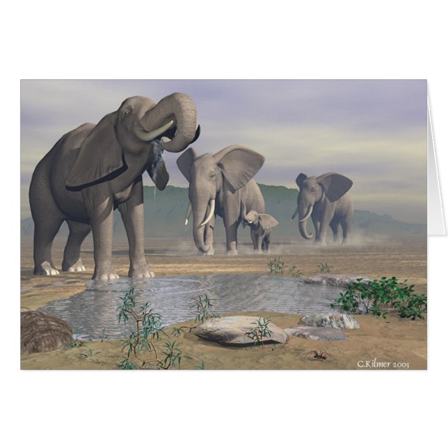 El agujero de riego pasado (Anverso (Horizontal))