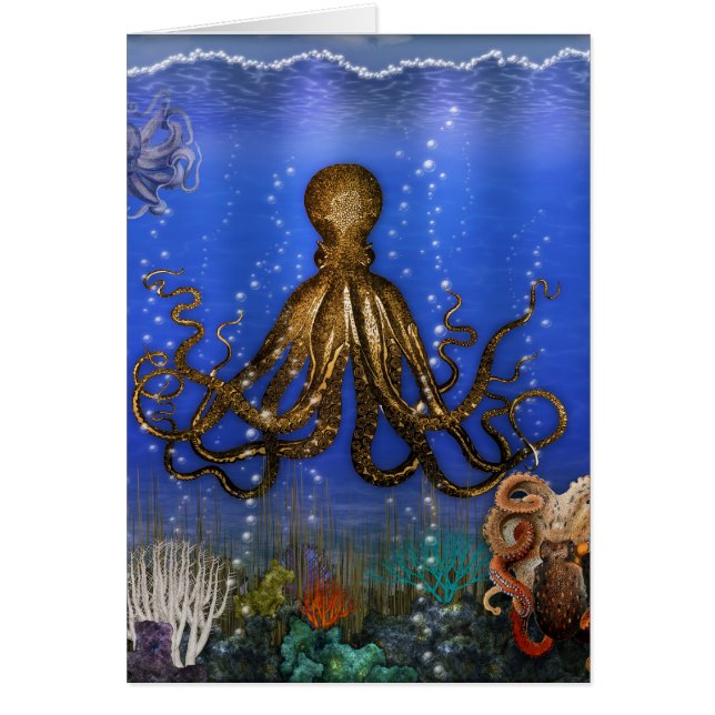 El aire del pulpo - Colorido (Frente)