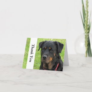 El alcohol Rottweiler le agradece tarjeta de nota