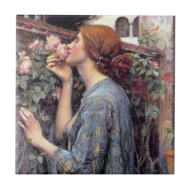 El alma de las baldosas cerámicas color de rosa (Frente)