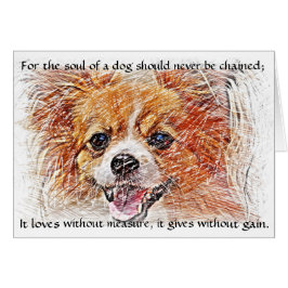 El alma de un perro - Chihuahua