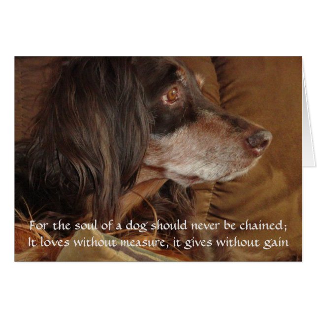 El alma de un perro - "Por Milly" (Anverso (Horizontal))