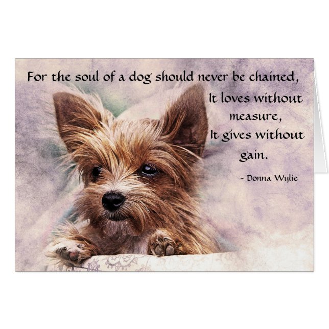 El alma de un perro - Yorkie (Anverso (Horizontal))