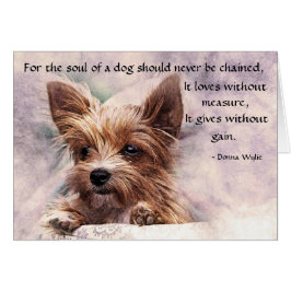 El alma de un perro - Yorkie