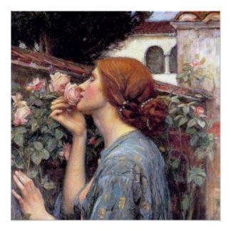 El alma del Rosa Poster
