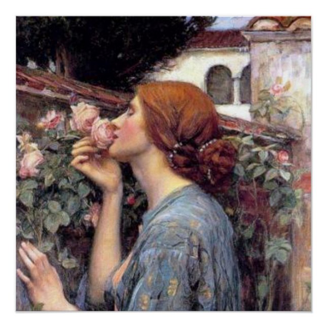 El alma del Rosa Poster (Anverso)