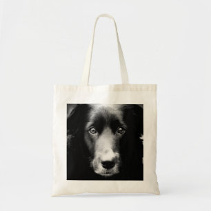 El alma observa la bolsa de asas