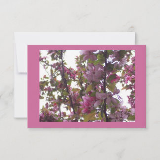 El alumerzo de las señoras con la invitación de