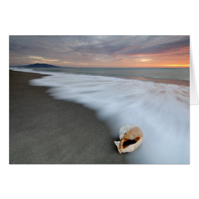 El Amanecer En La Playa Y La Concha (Anverso (Horizontal))