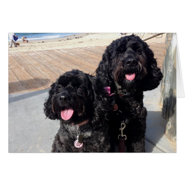 El amor carda para siempre (Anverso (Horizontal))