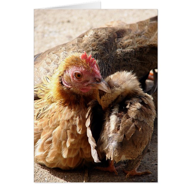 El amor de una madre (Frente)