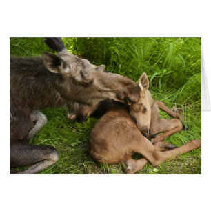 El amor de una madre