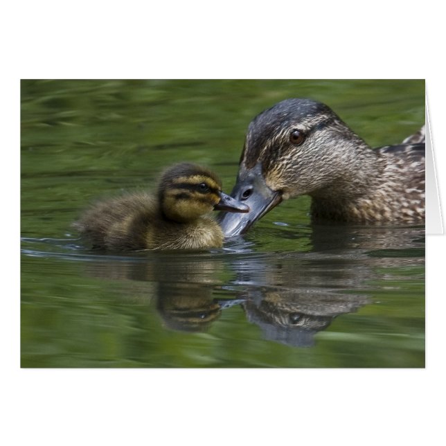 El amor de una madre (Anverso (Horizontal))