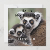 **"El amor de una madre: Mami y bebé Lemur Cudling
