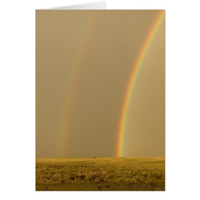 El amor doble (Frente)