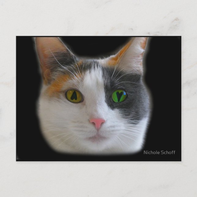 El amor en la primera postal (Anverso)