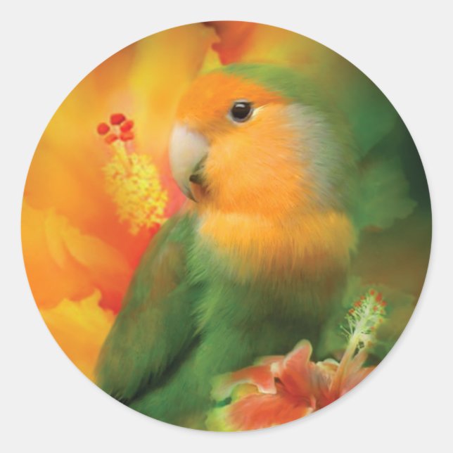 El amor entre el Pegatina de arte de Hibiscus (Anverso)