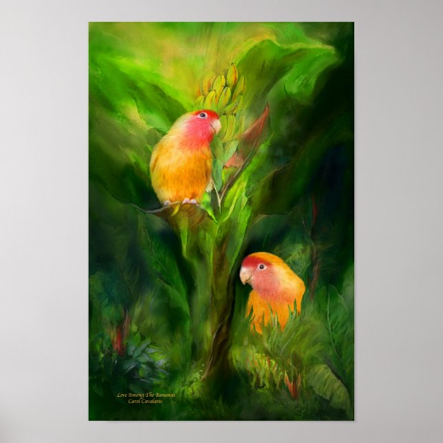 El amor entre el Poster de arte bananero/impresión (Frente)