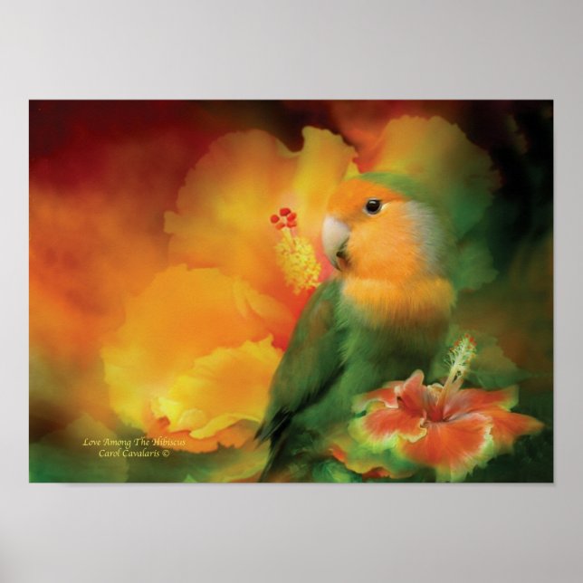 El amor entre el Poster de arte de Hibiscus/Print (Frente)