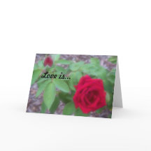 "El amor es" protector en blanco