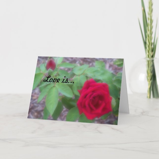 "El amor es" protector en blanco (Anverso)