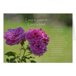 El amor es Rosa paciente