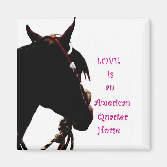 El amor es un imán de cuartos de caballo (Frente)