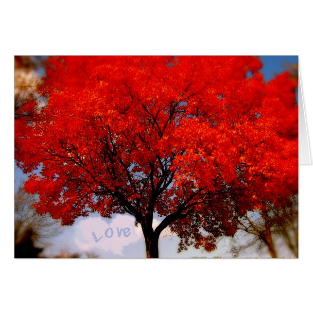 ¡El amor está en el aire... (Anverso (Horizontal))