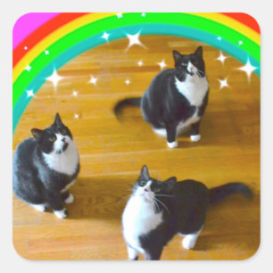 El amor gana a los pegatinas de TuxedoTrio