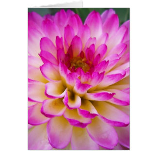 El amor loco Dahlia