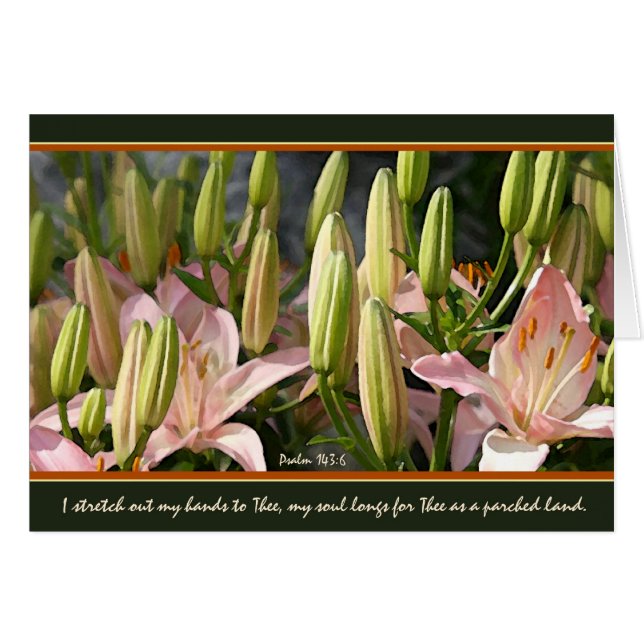 El anhelo (Anverso (Horizontal))