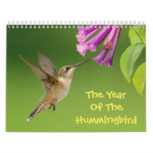 El Año Del Calendario De Hummingbird