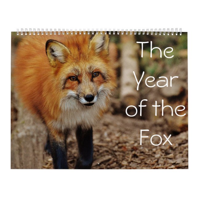 El año del calendario Fox (Tapa)