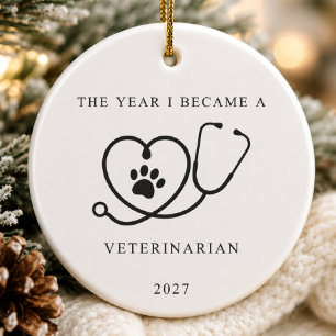 El Año en que Me Convertí en Ornamento de Veterina