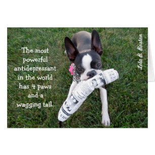 El antidepresivo más potente… TARJETA EN BLANCO