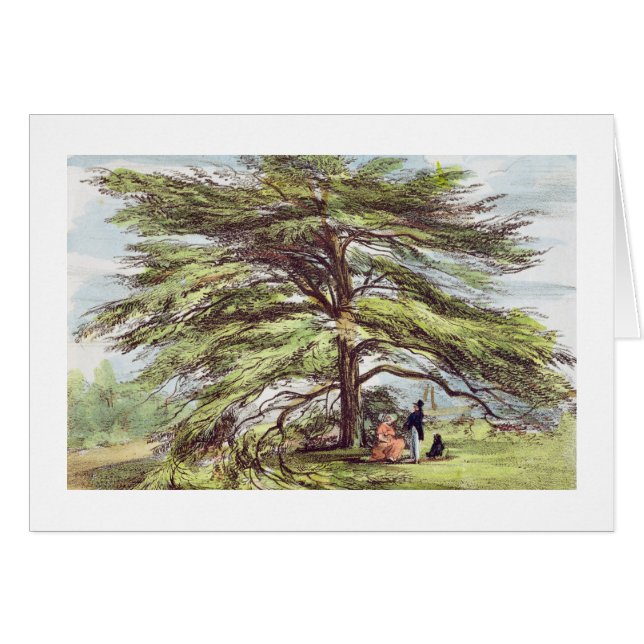 El árbol de cedro de Líbano en el arboreto, Kew (Anverso (Horizontal))