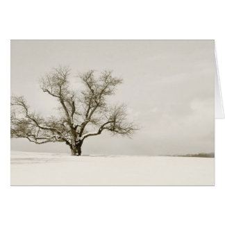 El árbol del invierno - espacio en blanco