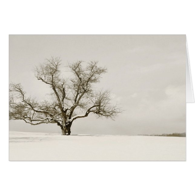 El árbol del invierno - espacio en blanco (Anverso (Horizontal))