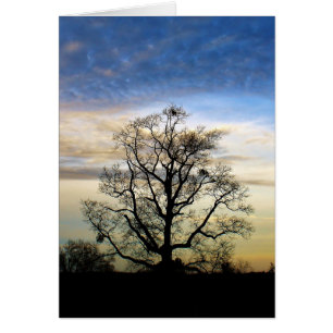 El árbol universal