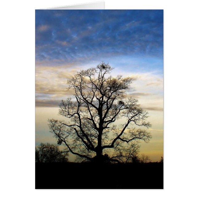 El árbol universal (Frente)