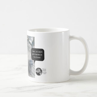 El arbolado resuelve la taza felina