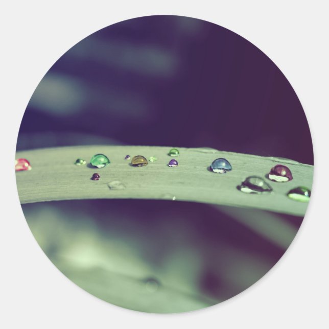 El arco iris cae a los pegatinas (Anverso)