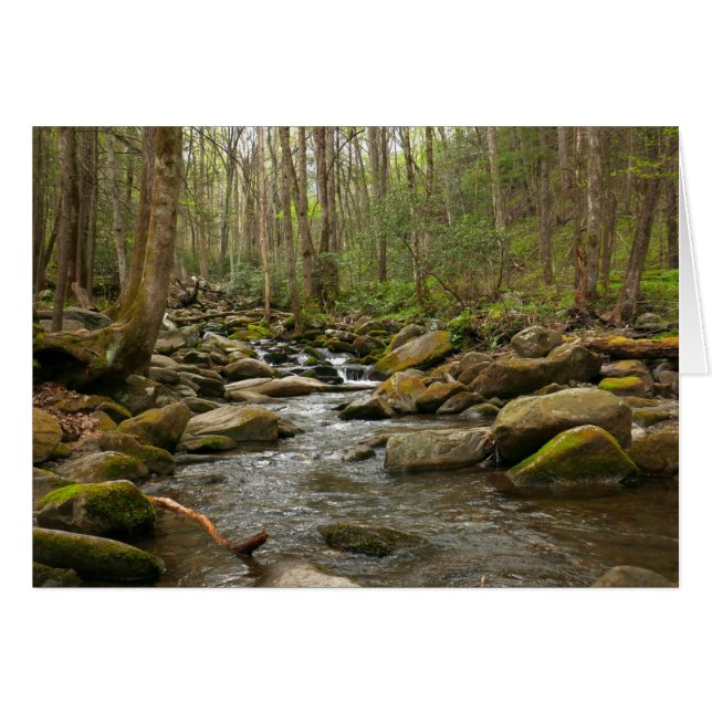 El arroyo de Le Conte en las grandes montañas hume (Anverso (Horizontal))