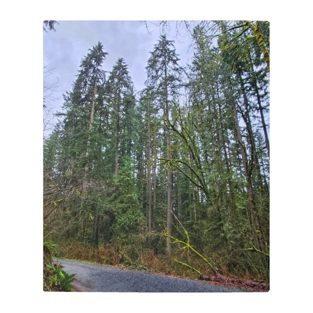 El arte de la pared Metalizado de Country Road (Anverso)