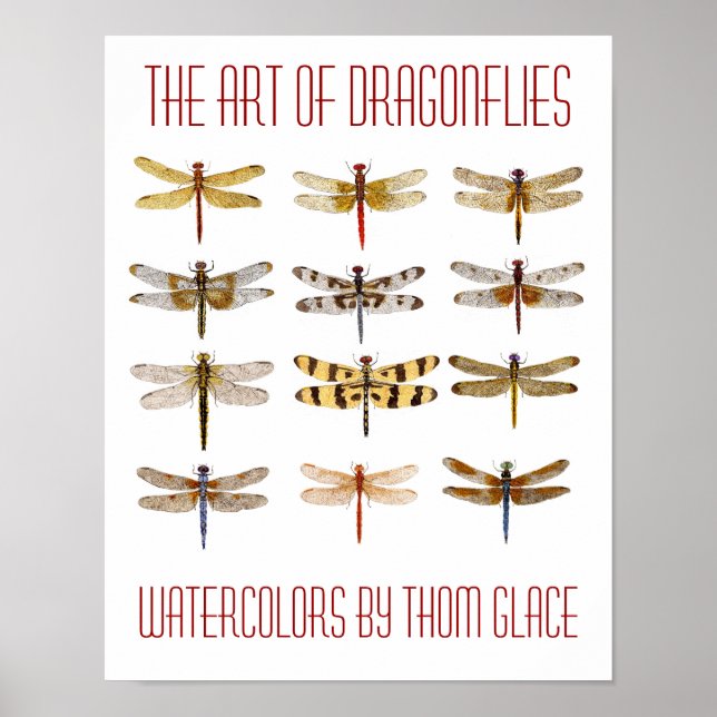El Arte De Las Dragonflies (Frente)